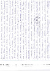 Vista preliminar de documento PRIMERA (I) CONSULTA PUBLICA DE SEGURIDAD CIUDADANA (28/03/2025)