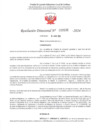 Vista preliminar de documento R.D. 532