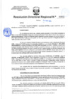 Vista preliminar de documento 01042 RDR 2024 DECLARAR LA NULIDAD DE OFICIO DE LA RD UGEL HUANUCO 12375 IDO LUGO VILLEGAS