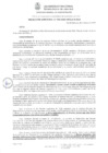 Vista preliminar de documento RD N° 0053-2025-UNTELS-R-DGA