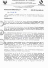 Vista preliminar de documento RD N° 667-2025