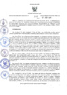 Vista preliminar de documento 217-2025-RER