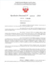 Vista preliminar de documento R.D. 546