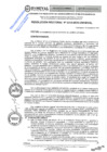 Vista preliminar de documento RES.RECT. N° 0315-2025-UNHEVAL