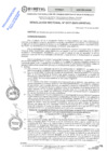 Vista preliminar de documento RES.RECT. N° 0317-2025-UNHEVAL