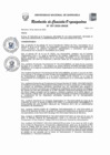 Vista preliminar de documento 307 Resolución de Comisión Organizadora N° 307-2025-UNAB