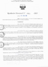 Vista preliminar de documento RD N° 683-2025