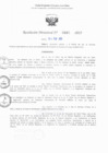 Vista preliminar de documento RD N° 685-2025
