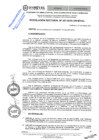 Vista preliminar de documento RES.RECT. N° 0307-2025-UNHEVAL-m