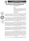 Vista preliminar de documento 131-2025-GRSM-DRTC