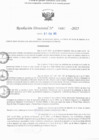 Vista preliminar de documento RD N° 687-2025