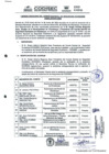 Vista preliminar de documento I Sesión ordinaria del Comité Distrital de Seguridad Ciudadana 2025