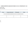 Vista preliminar de documento Reporte Liquidación de Obras 2025