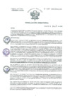 Vista preliminar de documento R.D. Nº080-2025-HNAL-DG