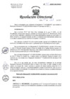 Vista preliminar de documento R.D. N°95-2025-DG-HNHU