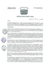 Vista preliminar de documento R.D. Nº083-2025-HNAL-DG