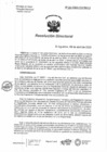 Vista preliminar de documento RD N°94-2025-DG/HNHU