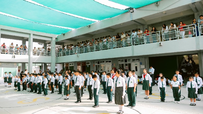 Brigadas escolares