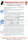 Vista preliminar de documento Resolucion de Alcaldia N° 61