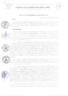 Vista preliminar de documento RA-N133-2025-MDCV-ALC