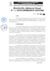 Vista preliminar de documento N°011-2025-GRSM-DRTC-OZTCBM