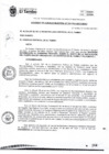 Vista preliminar de documento ACM010-2021
