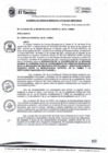 Vista preliminar de documento ACM036-2021