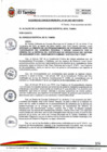 Vista preliminar de documento ACM041-2021