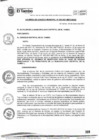 Vista preliminar de documento ACM005-2021-SE