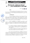 Vista preliminar de documento N°014-2025-GRSM-DRTC-OZTCBM