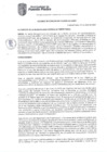Vista preliminar de documento AC N° 010-2025