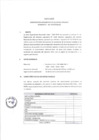 Vista preliminar de documento PUBLICACIÓN SANEAMIENTO DE BIENES MUEBLES