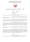 Vista preliminar de documento R.D. 607