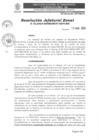 Vista preliminar de documento N°025-2025-GRSM-DRTC-OZTCBM