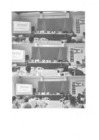 Vista preliminar de documento Informe consolidado PPR 2026 - Parte III