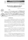 Vista preliminar de documento N°031-2025-GRSM-DRTC-OZTCBM