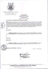 Vista preliminar de documento 048-2025-AL-MPC_Fe de Erratas