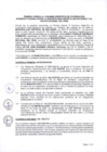 Vista preliminar de documento ANEXO 0610-2025-IN