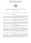 Vista preliminar de documento R.D. 618