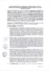 Vista preliminar de documento ANEXO 0611-2025-IN