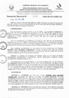 Vista preliminar de documento RD N° 703-2025
