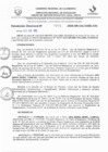 Vista preliminar de documento RD N° 704-2025