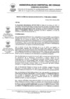 Vista preliminar de documento RGM 399-2025 GM - Divorcio