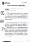 Vista preliminar de documento ACM004-2020