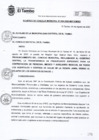 Vista preliminar de documento ACM030-2020