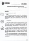 Vista preliminar de documento ACM036-2020
