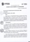 Vista preliminar de documento ACM033-2020