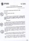 Vista preliminar de documento ACM010-2020-SE