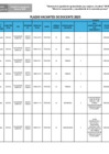 Vista preliminar de documento PLAZAS VACANTES DE DOCENTES 2025.