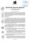 Vista preliminar de documento RER 210-2025-GOB